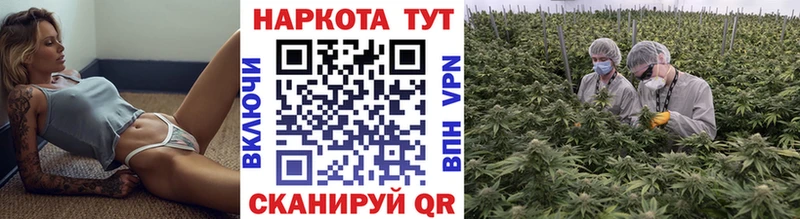 Псилоцибиновые грибы Чишмы