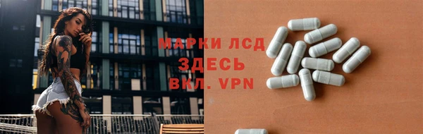 гашик Заводоуковск