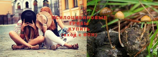 гашик Заводоуковск
