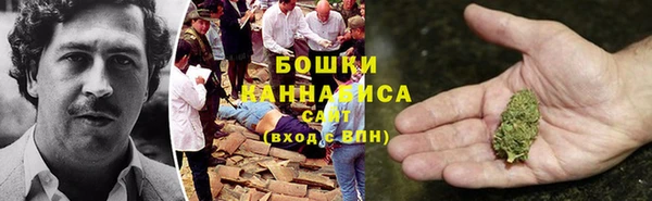 гашик Заводоуковск