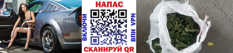 как найти   Чишмы  Бошки Шишки THC 21% 